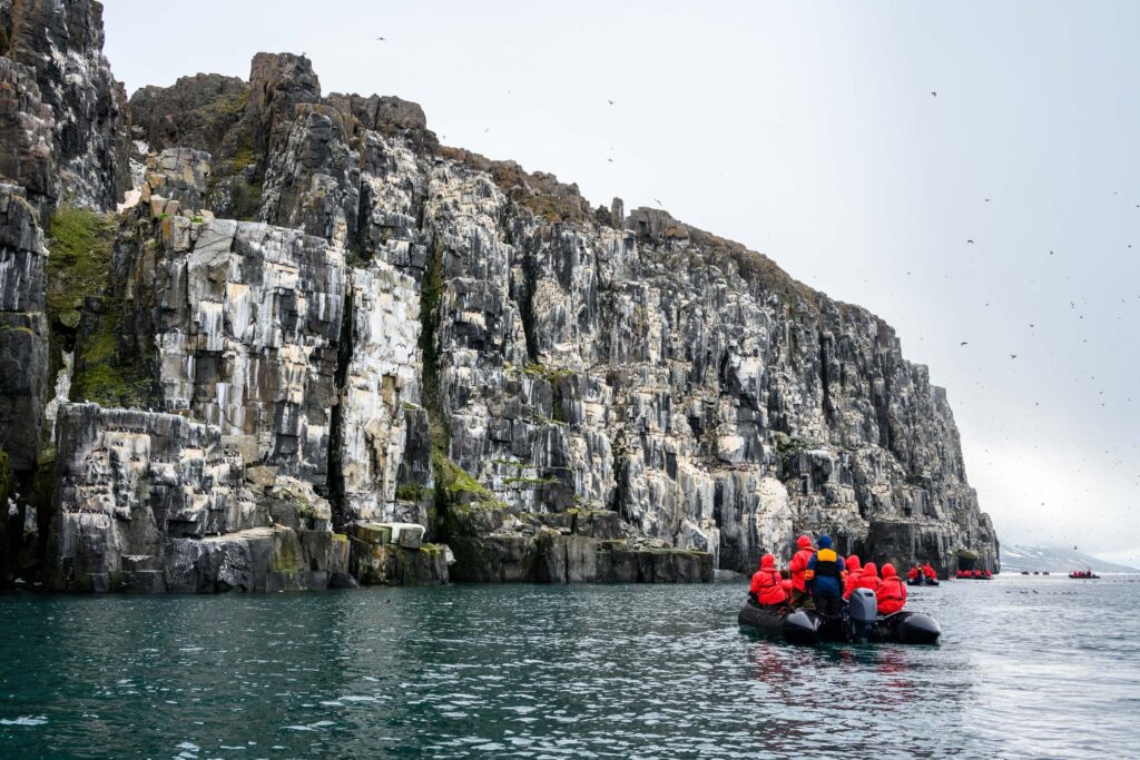 Alkefjellet Bird Cliffs Hinlopen Strait on A Svalbard Cruise