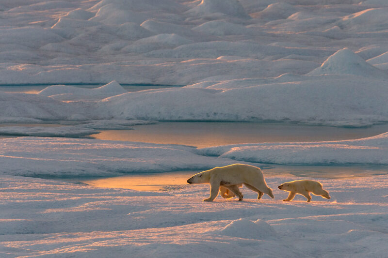 Lancaster Sound Northwest Passage Cruise PONANT