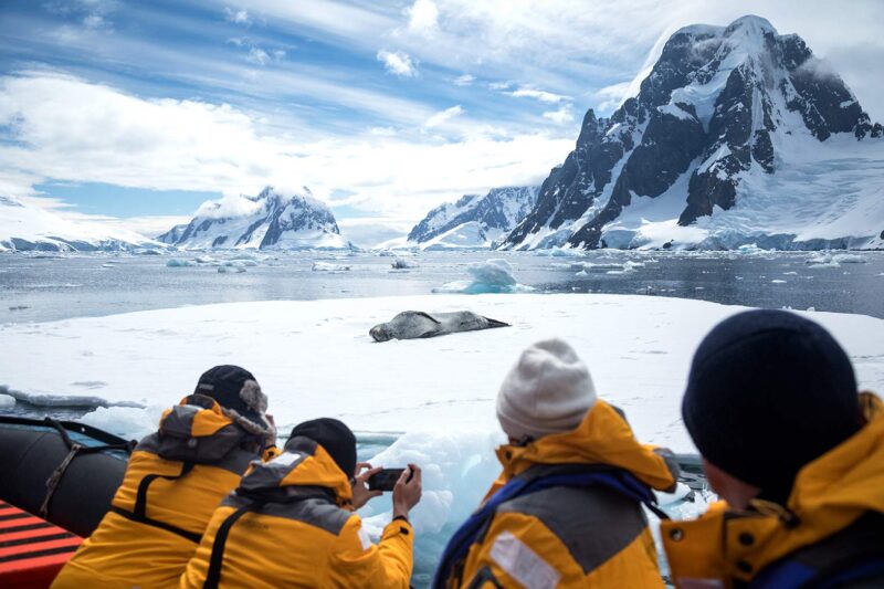 leopard seal on an iceberg in Antarctica