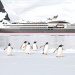 Le Austral expedition cruise ship with penguins in Antarctica