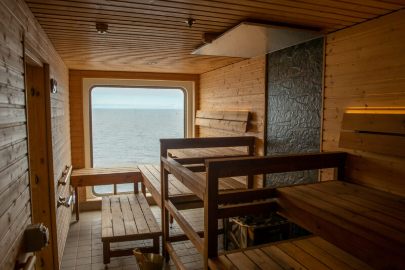 The Sauna Sylvia Earle