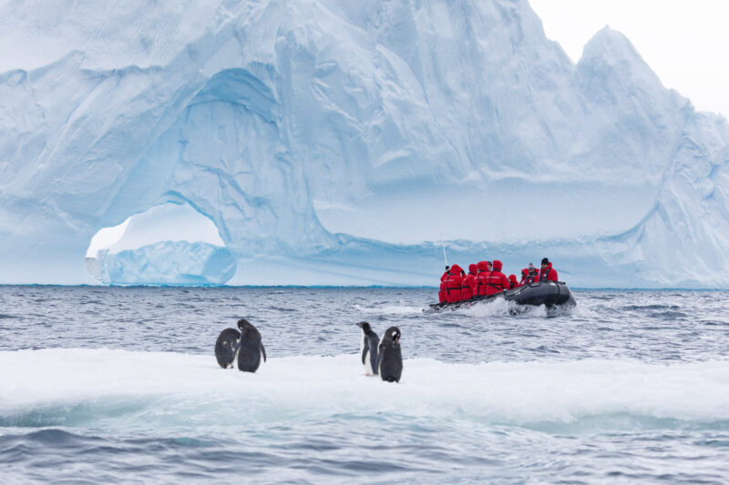 Zodiac Cruising with penguins on an iceberg on the Antarctic Peninsula