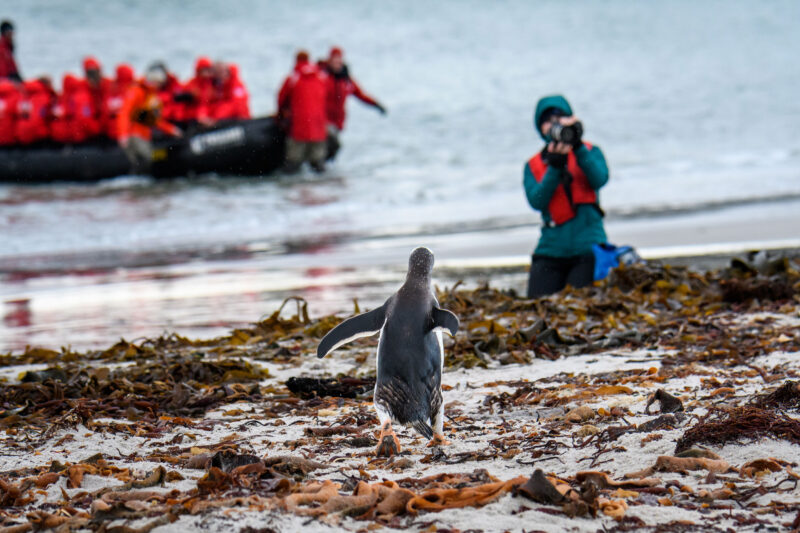 Zodiac landing on a Falkland Islands cruise